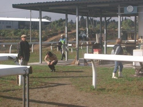 乗馬教室2014秋 第二日目 004