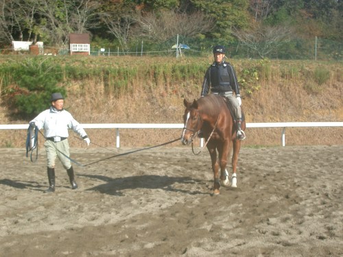 乗馬教室2014秋 第二日目 041