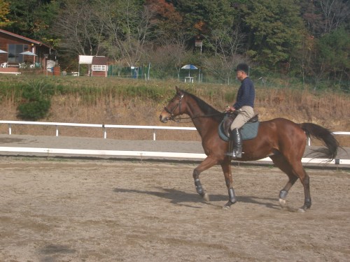 乗馬教室2014秋　第二日目 048