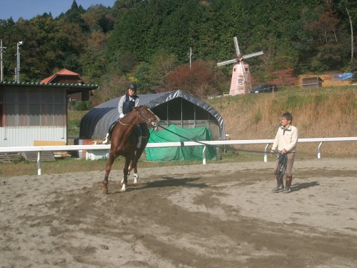 乗馬教室2014秋 第二日目 055