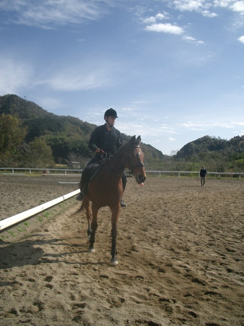 乗馬教室2014秋　第二日目 061