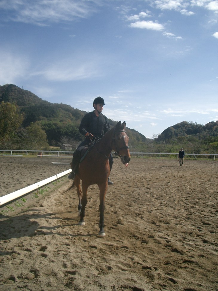 乗馬教室2014秋 第二日目 061