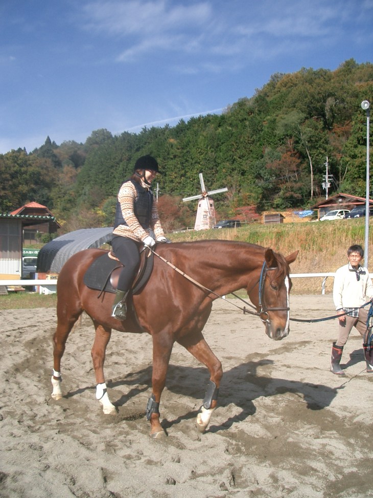 乗馬教室2014秋 第二日目 062