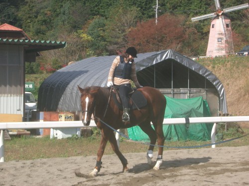 乗馬教室2014秋 第二日目 063