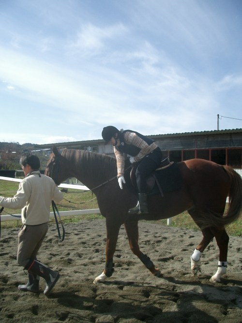 乗馬教室2014秋 第二日目 064