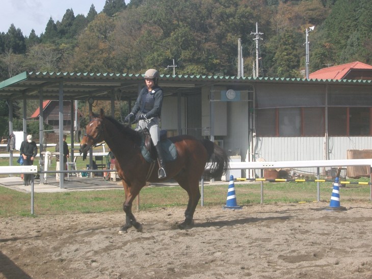 乗馬教室2014秋　第二日目 067