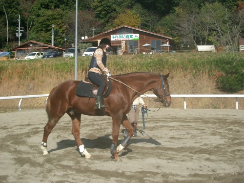 乗馬教室2014秋　第二日目 069
