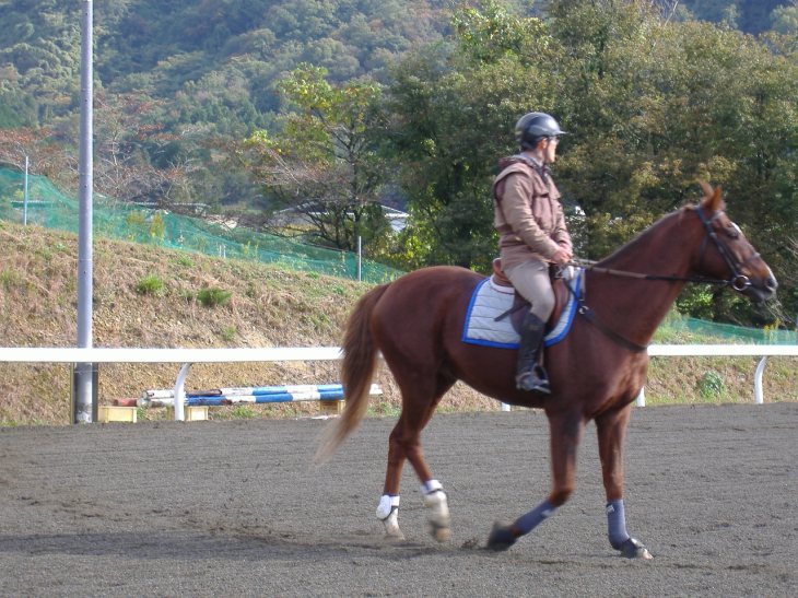 綾部ふれあい祭2016秋 004