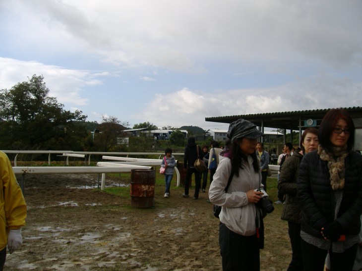 綾部ふれあい祭2016秋 009