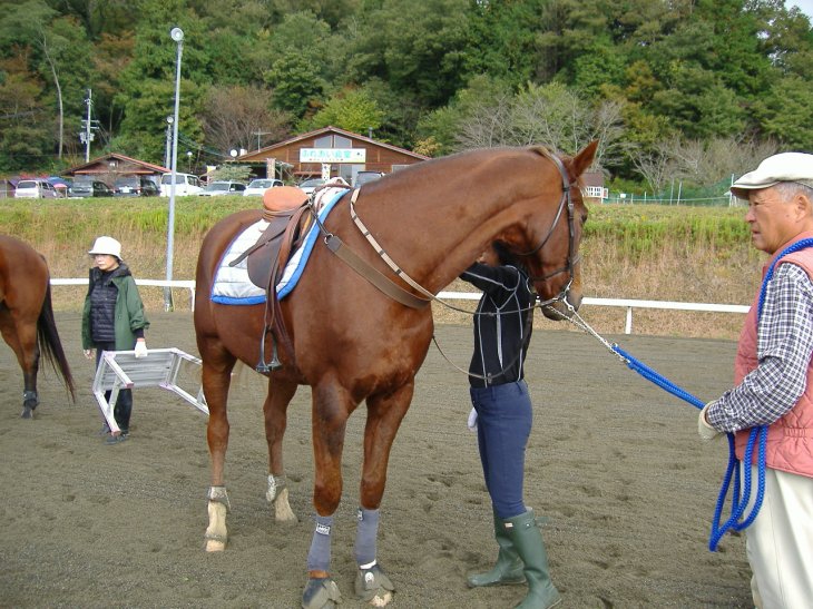 綾部ふれあい祭2016秋 010