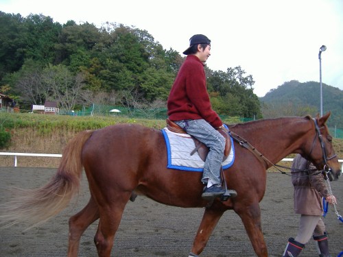 綾部ふれあい祭2016秋 021