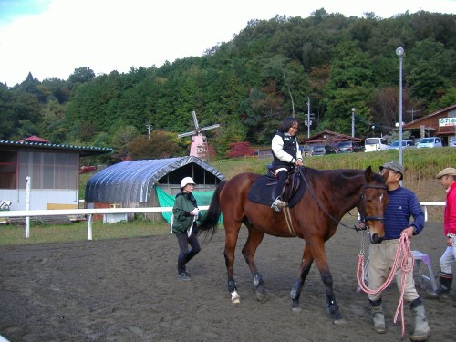 綾部ふれあい祭2016秋 023