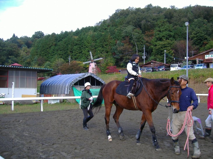 綾部ふれあい祭2016秋 023
