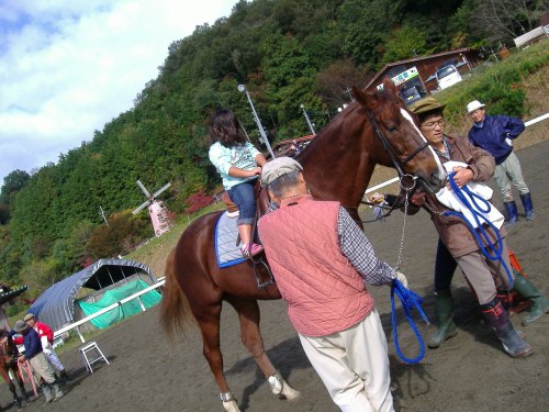 綾部ふれあい祭2016秋 029