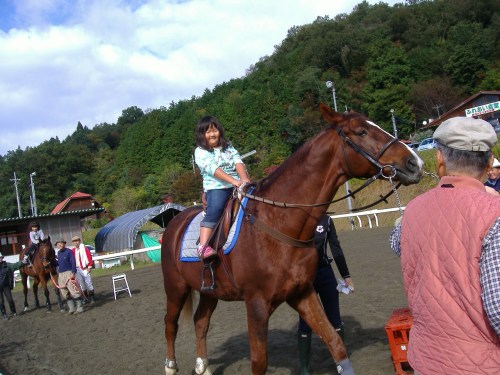 綾部ふれあい祭2016秋 030