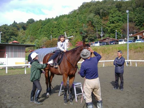 綾部ふれあい祭2016秋 032