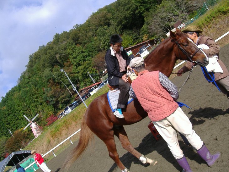 綾部ふれあい祭2016秋 034