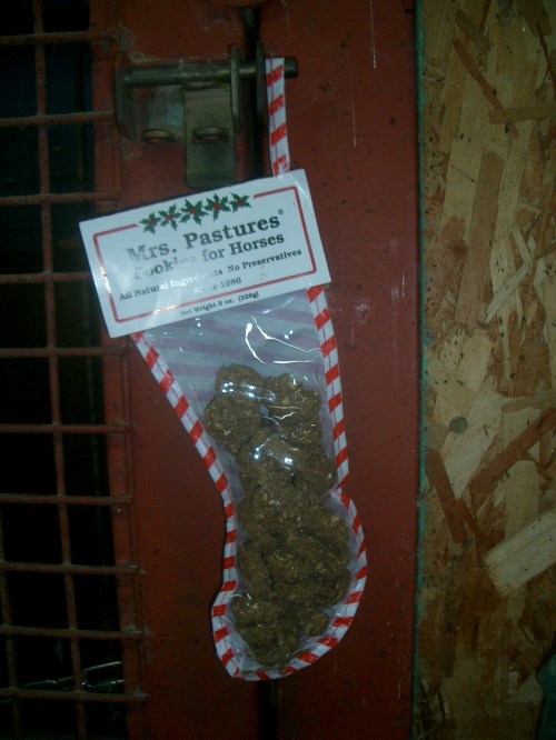 2014.12.23 クリスマスプレゼント001