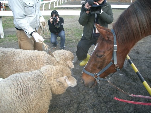 2014.12.23 干支の引渡し001 (10)