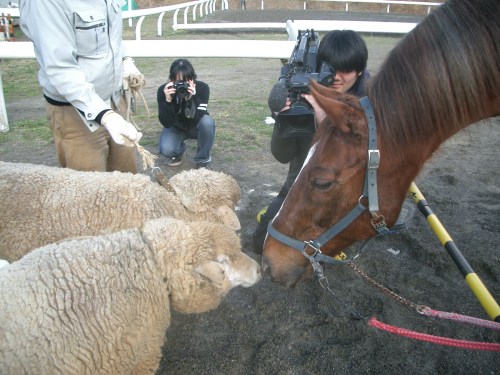 2014.12.23 干支の引渡し001 (11)