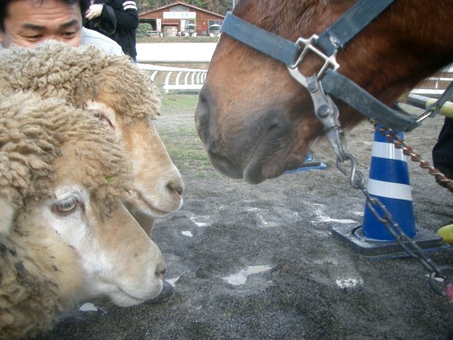 2014.12.23 干支の引渡し001 (12)