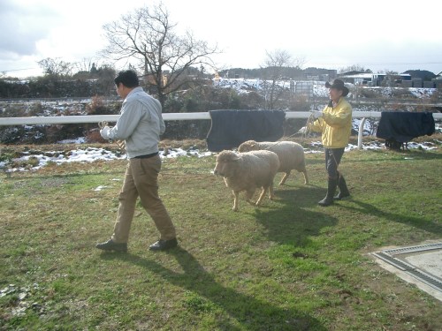 2014.12.23 干支の引渡し001 (2)