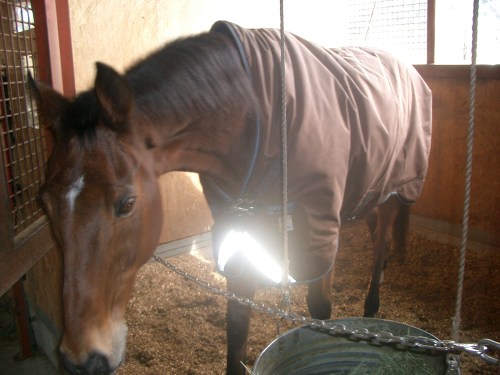 2014.12.27大掃除 005