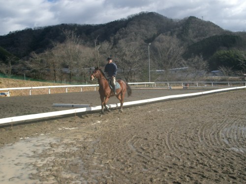2015.1.1元旦の風景 001