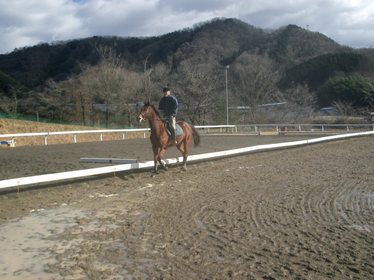 2015.1.1元旦の風景 001