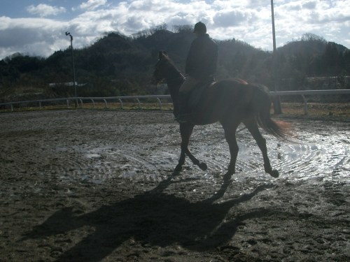 2015.1.1元旦の風景 002