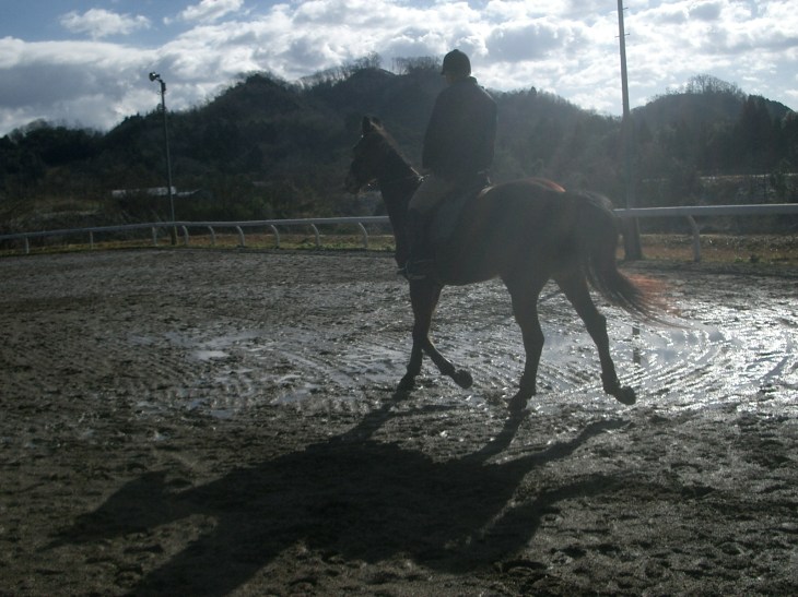 2015.1.1元旦の風景 002