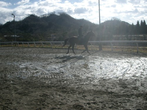 2015.1.1元旦の風景 003