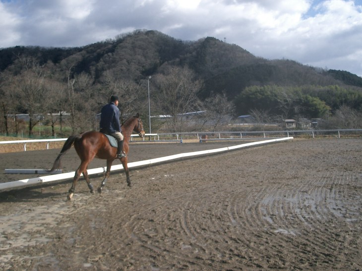2015.1.1元旦の風景 004