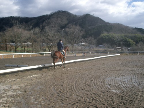 2015.1.1元旦の風景 005