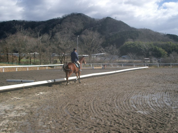 2015.1.1元旦の風景 005