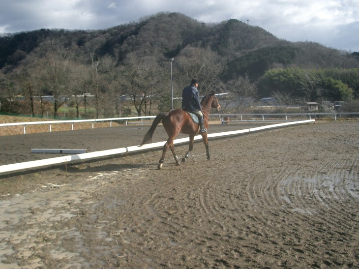 2015.1.1元旦の風景 006