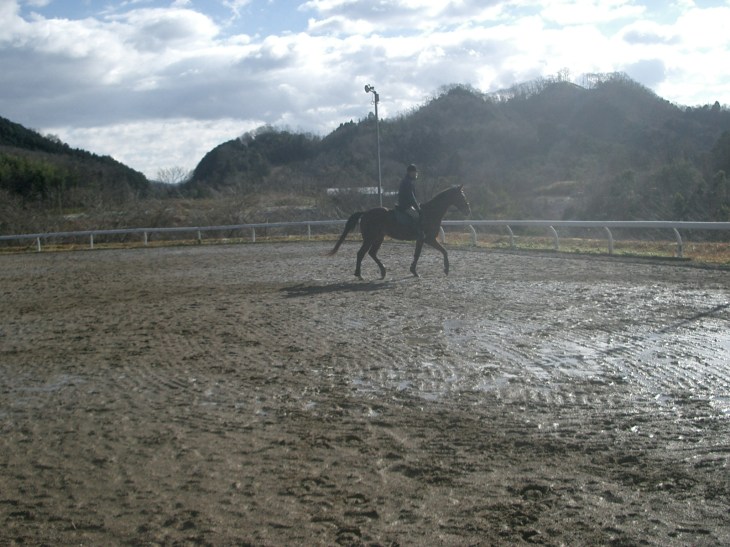 2015.1.1元旦の風景 007