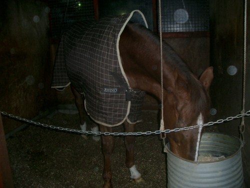 2015.1.1元旦の風景 008