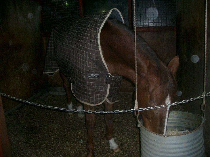 2015.1.1元旦の風景 008