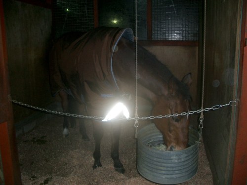 2015.1.1元旦の風景 009