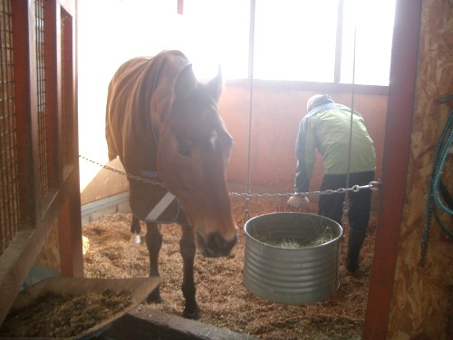 2015.1.4初乗り会 003