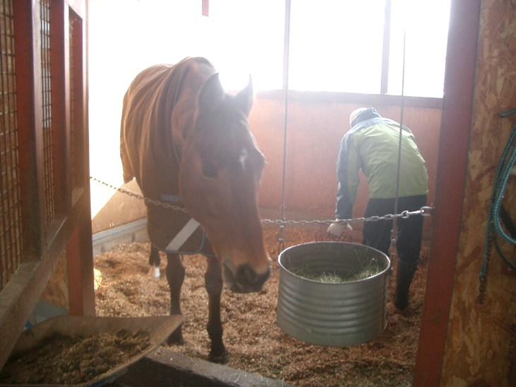 2015.1.4初乗り会 003