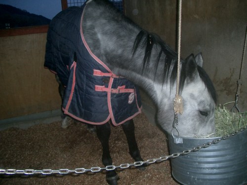 2015.2.12プレドーン号 001