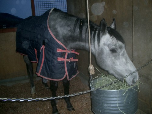 2015.2.12プレドーン号 002