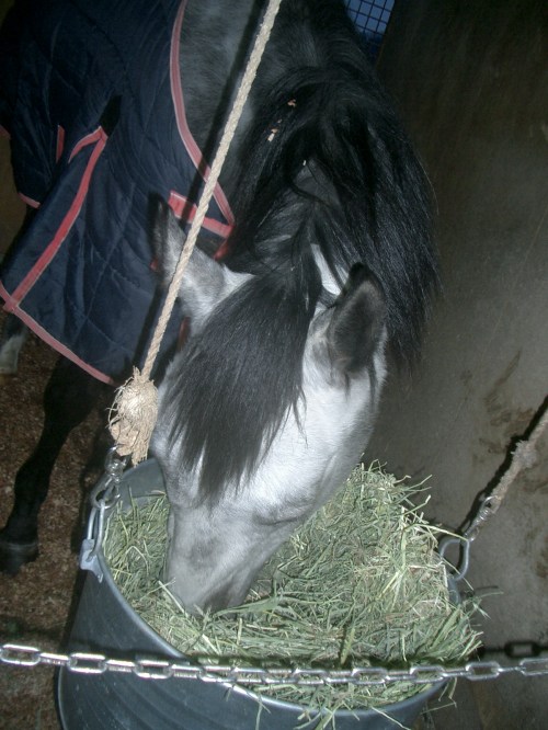 2015.2.12プレドーン号 003