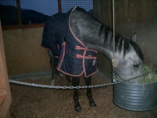 2015.2.12プレドーン号 004