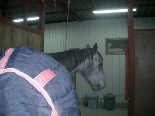 2015.2.12プレドーン号 005