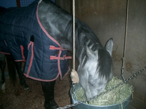 2015.2.12プレドーン号 006