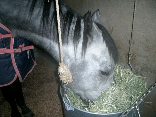 2015.2.12プレドーン号 007