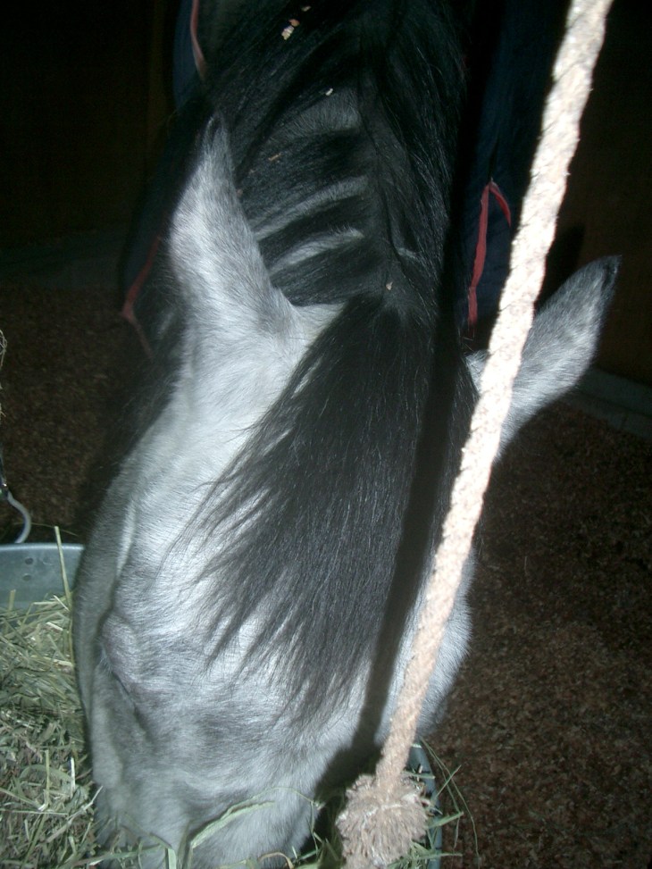 2015.2.12プレドーン号 008